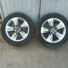 disga teker haýlandyr 2ştuk