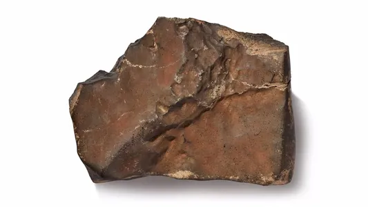 Iň uly Mars meteoriti 4 mln dollara satylar