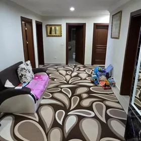Anew Pol elitga