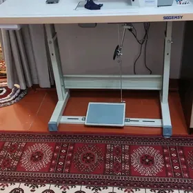 Dikin maşyn