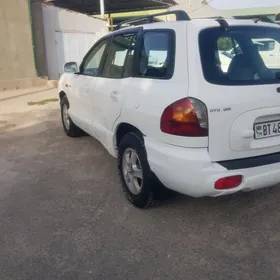 Hyundai Santa Fe 2003