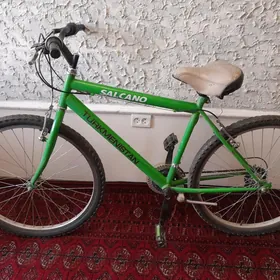 Turkmenistan tigir Salcano