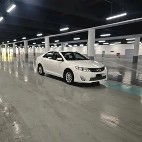 Toyota Camry 2013
