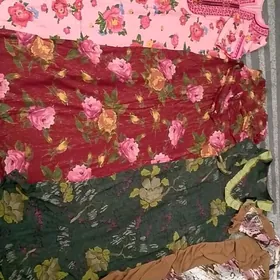 koynekler