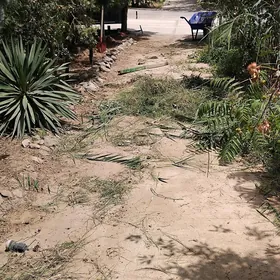 iṣçi Bagwan