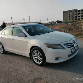 Toyota Camry 2010