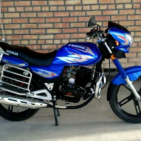 Fekon FK150-8G 2013