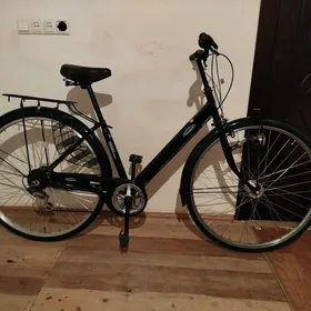 27 Ýapon Welik