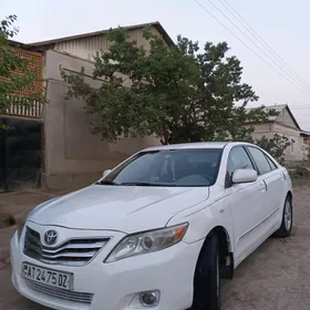 Toyota Camry 2010