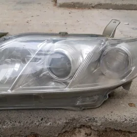 Fara Çyra Öküz kelle camry