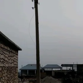 stolba apora