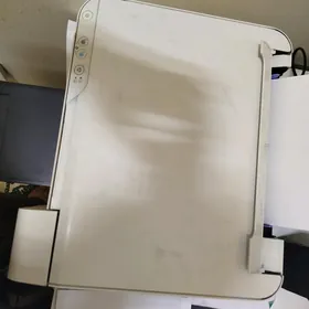 epson 3116