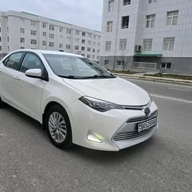 Toyota Corolla 2019