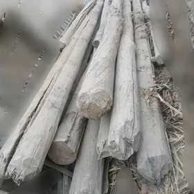 Agaçlar