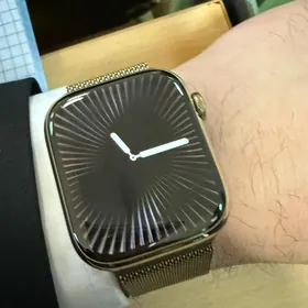 apple watch 7 stainl