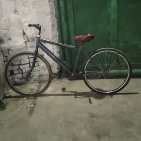 tigir26 turkmenistan