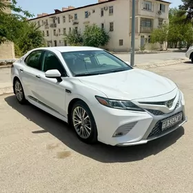 Toyota Camry 2020