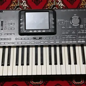 KORG PA3X
