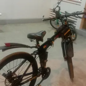 bwm tigir
