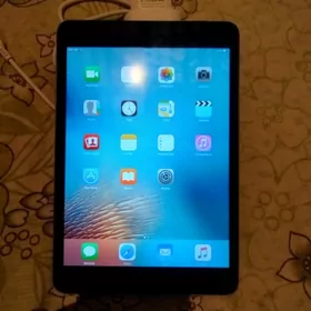 iPad