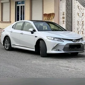 camry tarpeda