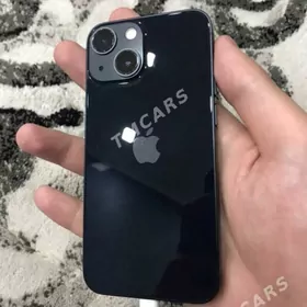 13 mini 