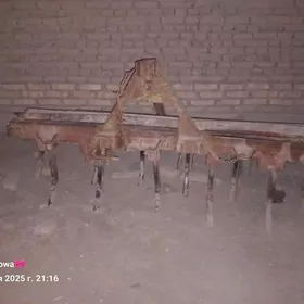 чызыл