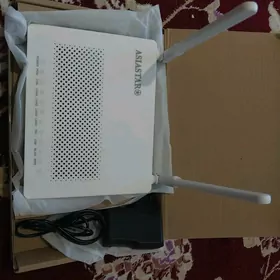 gpon router