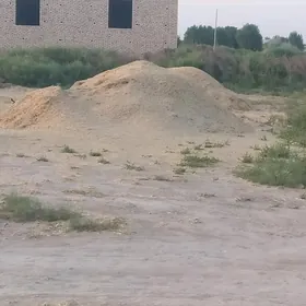 Saman