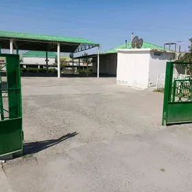 Gypjak