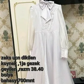 zaks koynek
