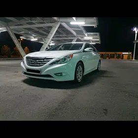 Hyundai Sonata 2010