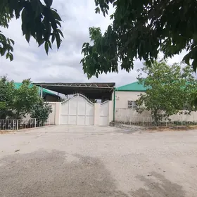 Arenda Bagyr plan oglana