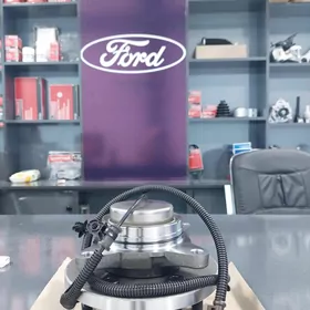 Ford Stupisa passiwnik