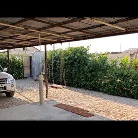 элитка