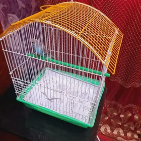 попугай с клеткой