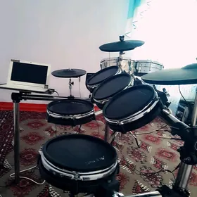 ALESIS BARABAN