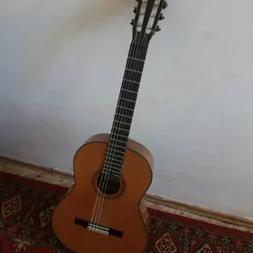 gitara. valencia