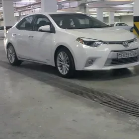 Toyota Corolla 2014
