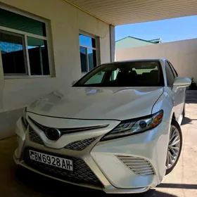 Toyota Camry 2019