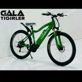 Turkmenistan tigir