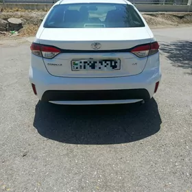 Toyota Corolla 2021