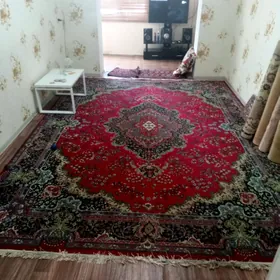  Ковёр/Haly
