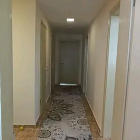Mir 8 2 komnat Arenda
