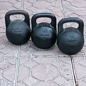 гиря,гири,gira,dash