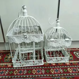 клетка