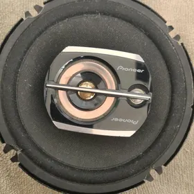 Pioneer 300w Original