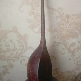 dutar gadym
