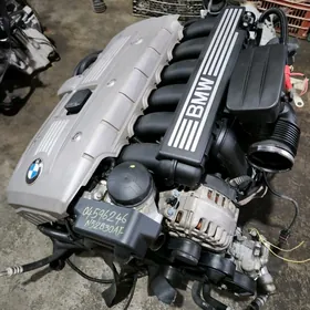 E39 E46 E60 MORDA BMW
