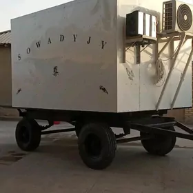 toy sovadyjy